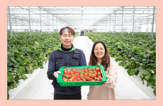 노후대비 스마트팜 도전기! 청양군 이병철 농가